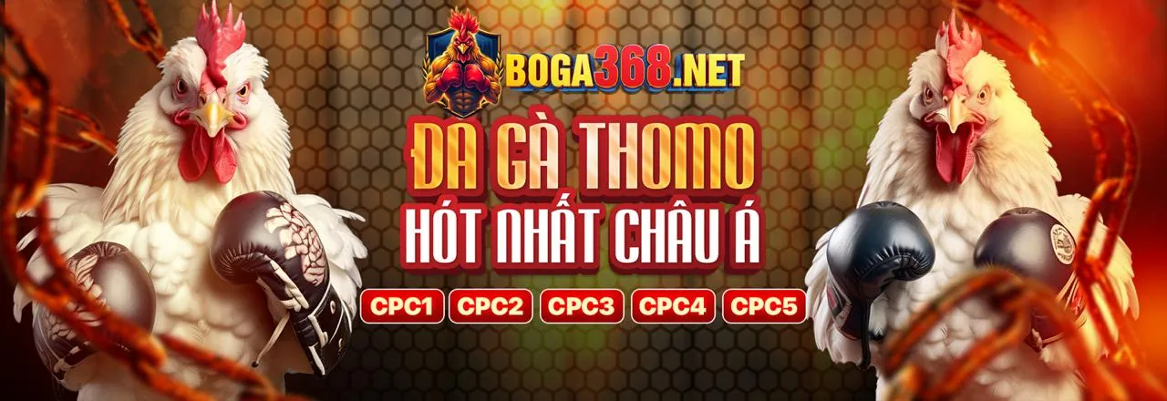Chương trình Hoàn Trả Hàng Ngày V9BET
